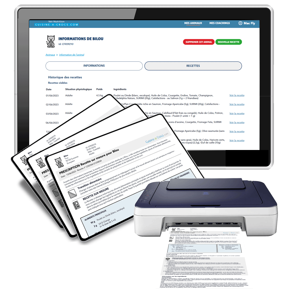 Abonnement Petacroc pour chat